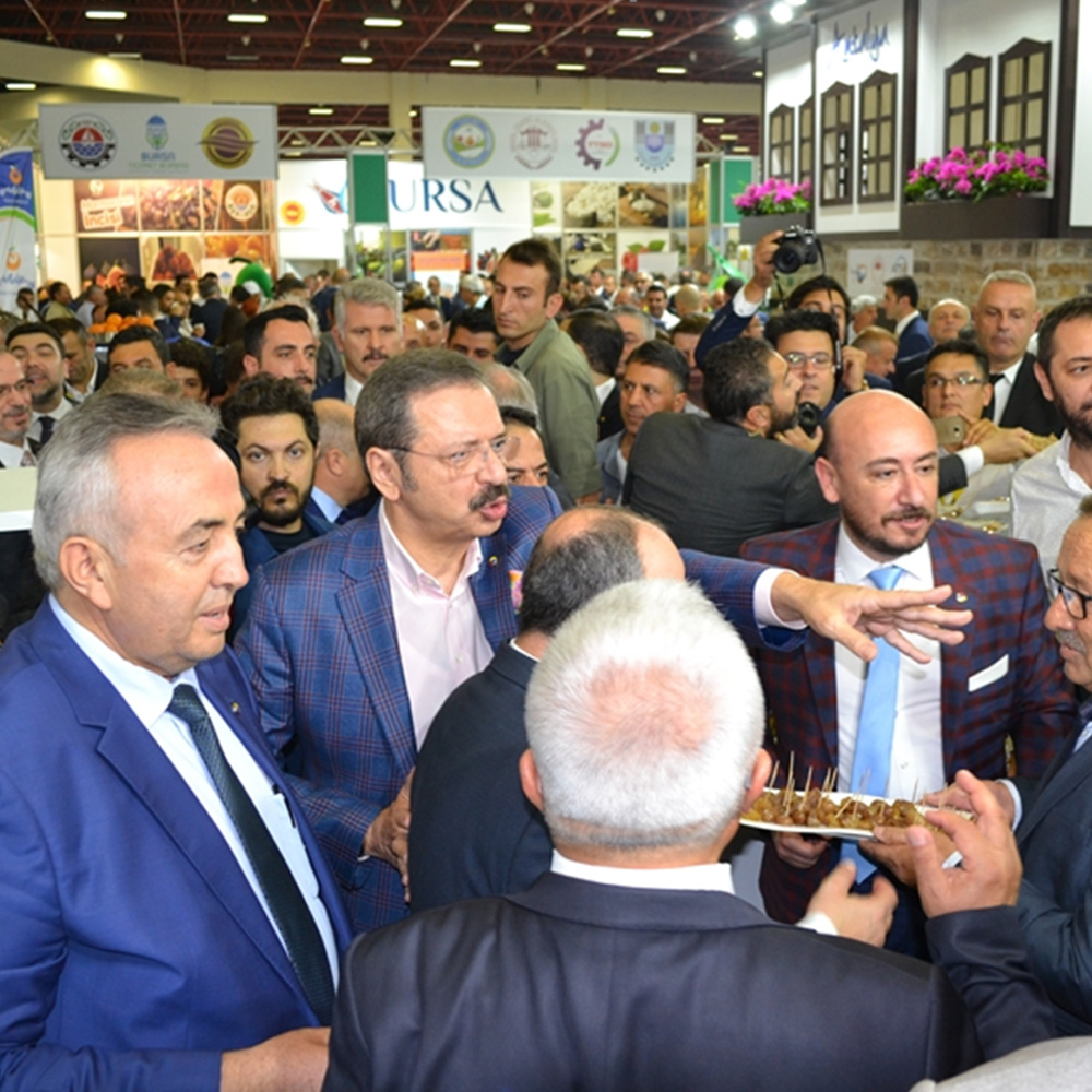 yorex 1 Aksüt İncir