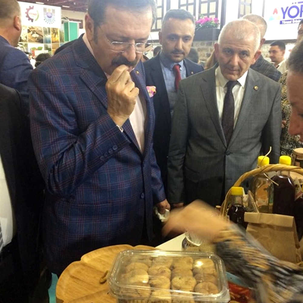 yorex111 1 Aksüt İncir