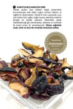 Kurutulmuş Angelica Erik