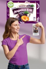 Kurutulmuş Angelica Erik