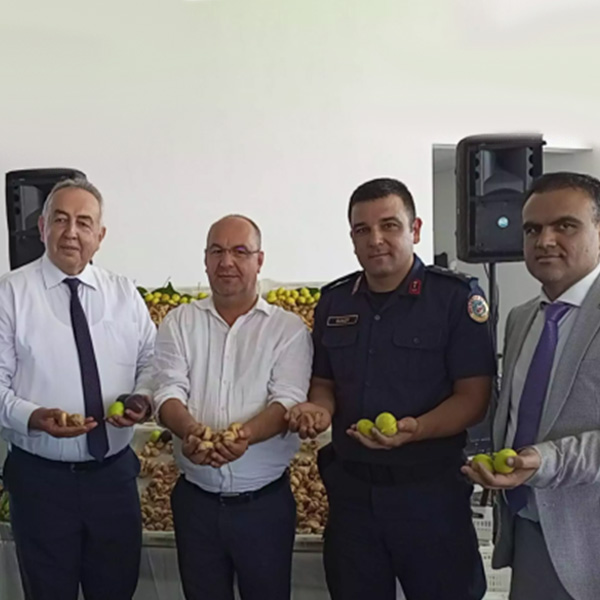 Nazilli’de İlk İncir Alım ve Tescil Töreni