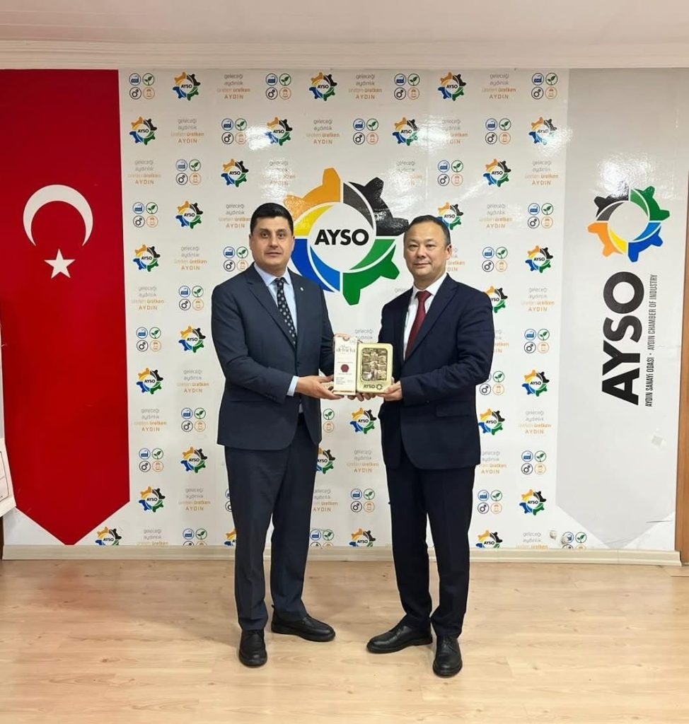 aysotakdim2 Aksüt İncir